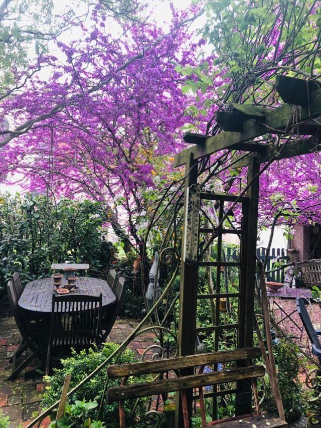 Maison D'Hotes "Les Volets Verts" Et Sa Brocante Ecueille Εξωτερικό φωτογραφία